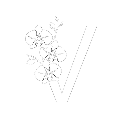 VANDA inspired logo